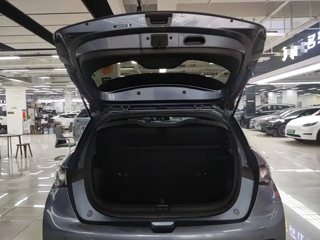 BYD Dolphin — миниатюра 19