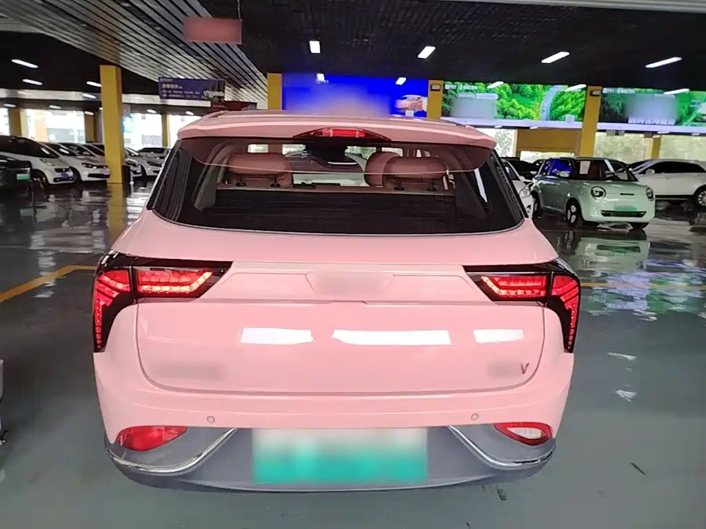 Neta Neta V — миниатюра 6