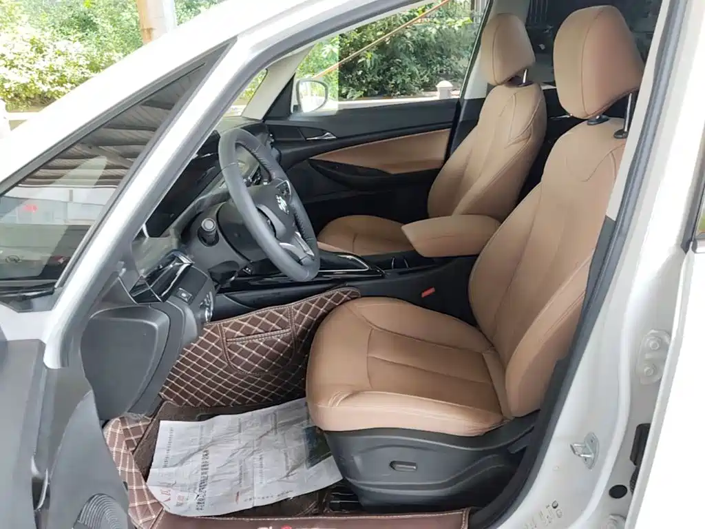 Buick GL6 — миниатюра 15