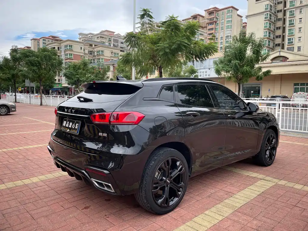 WEI PAI WEI BRAND VV7