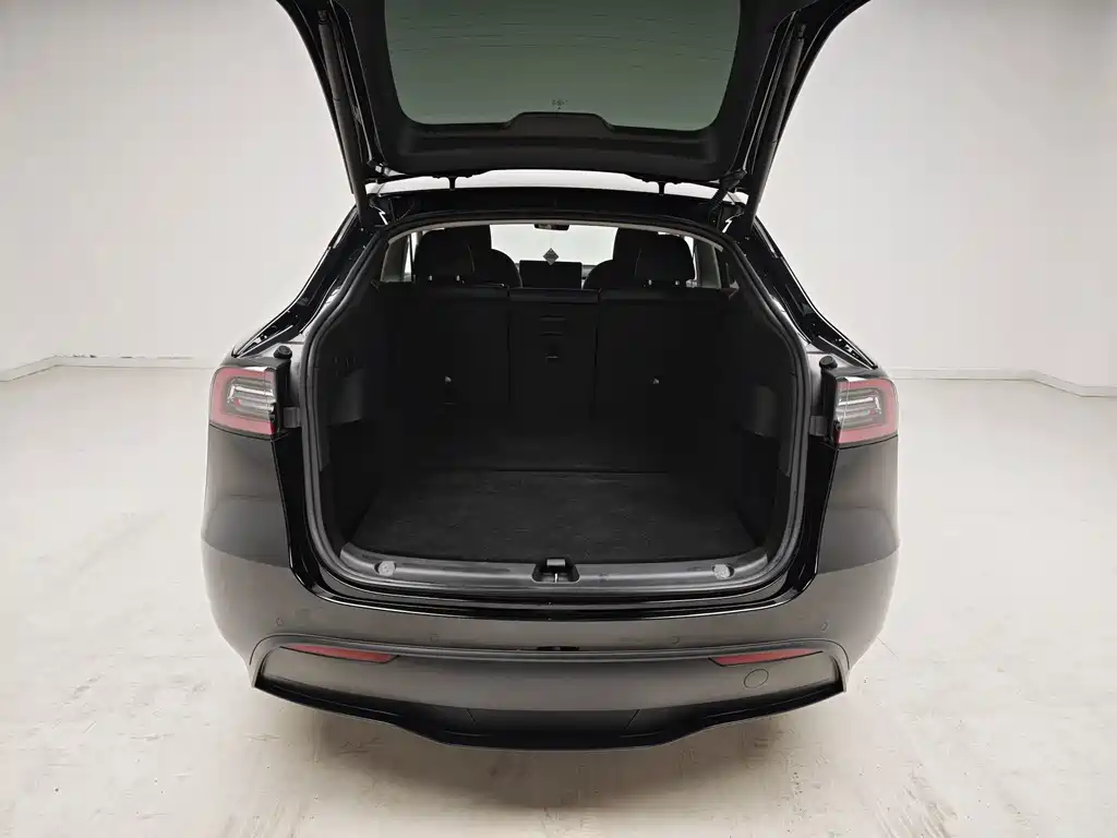 Tesla Model Y — миниатюра 10
