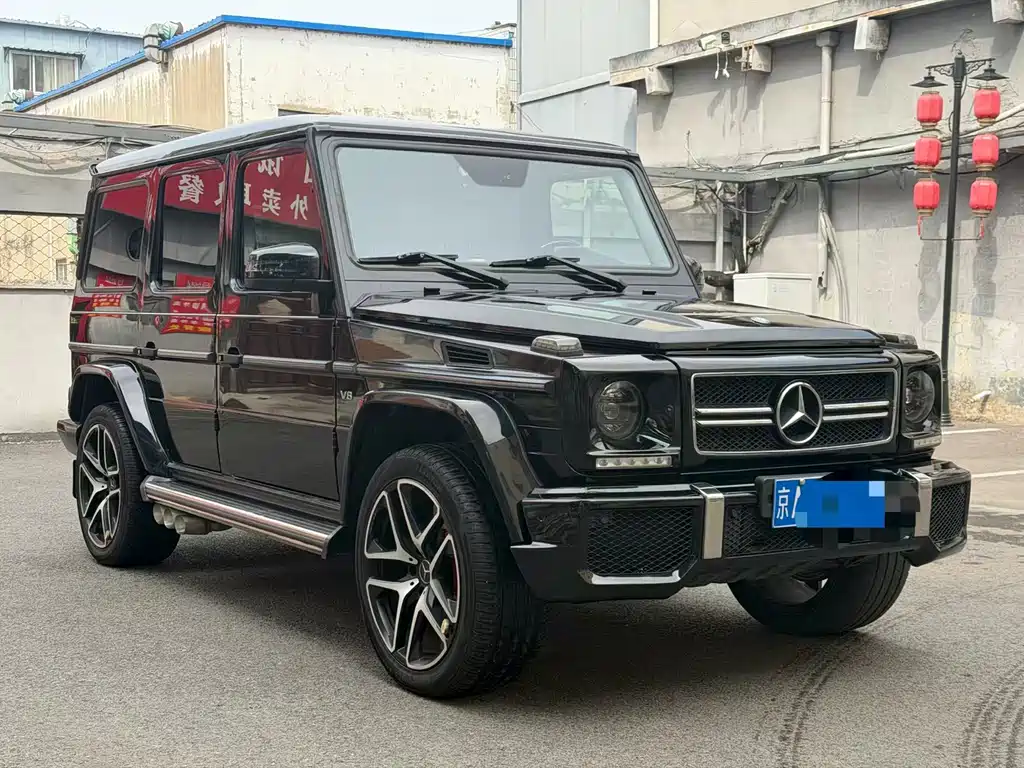 Mercedes-Benz G-Class G 2010 G 500