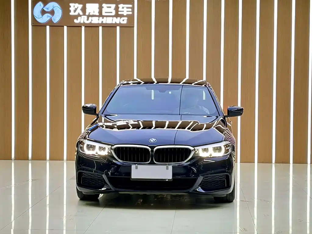 BMW 5 Series (Import) — миниатюра 2