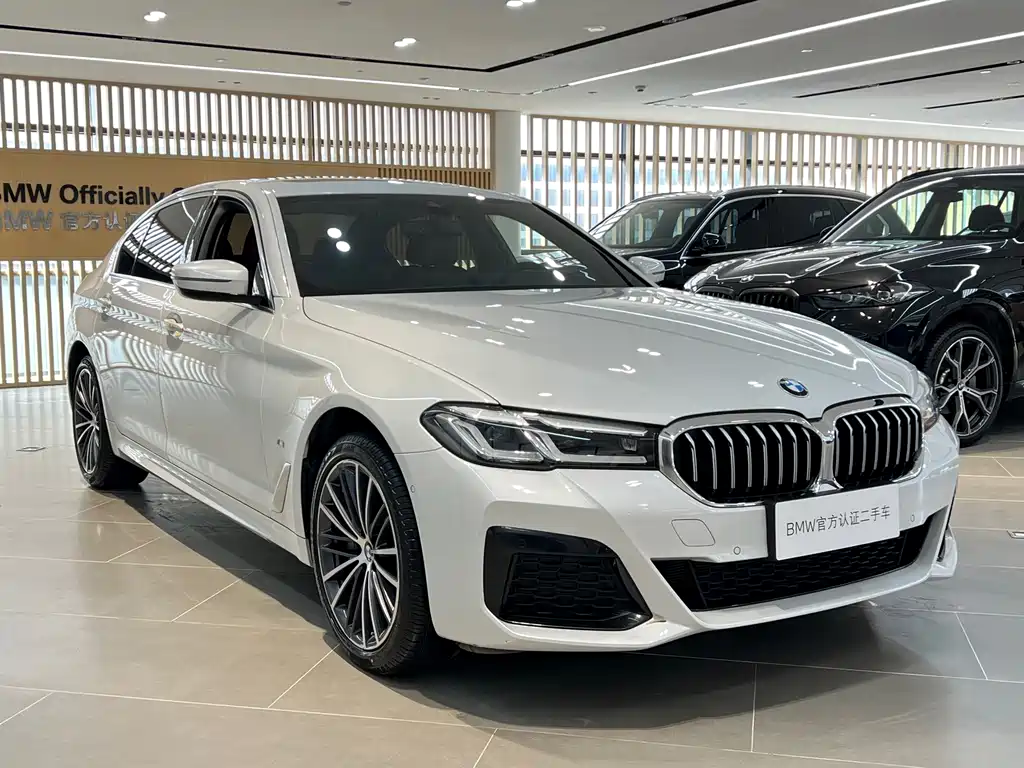 BMW 5 Series — миниатюра 3