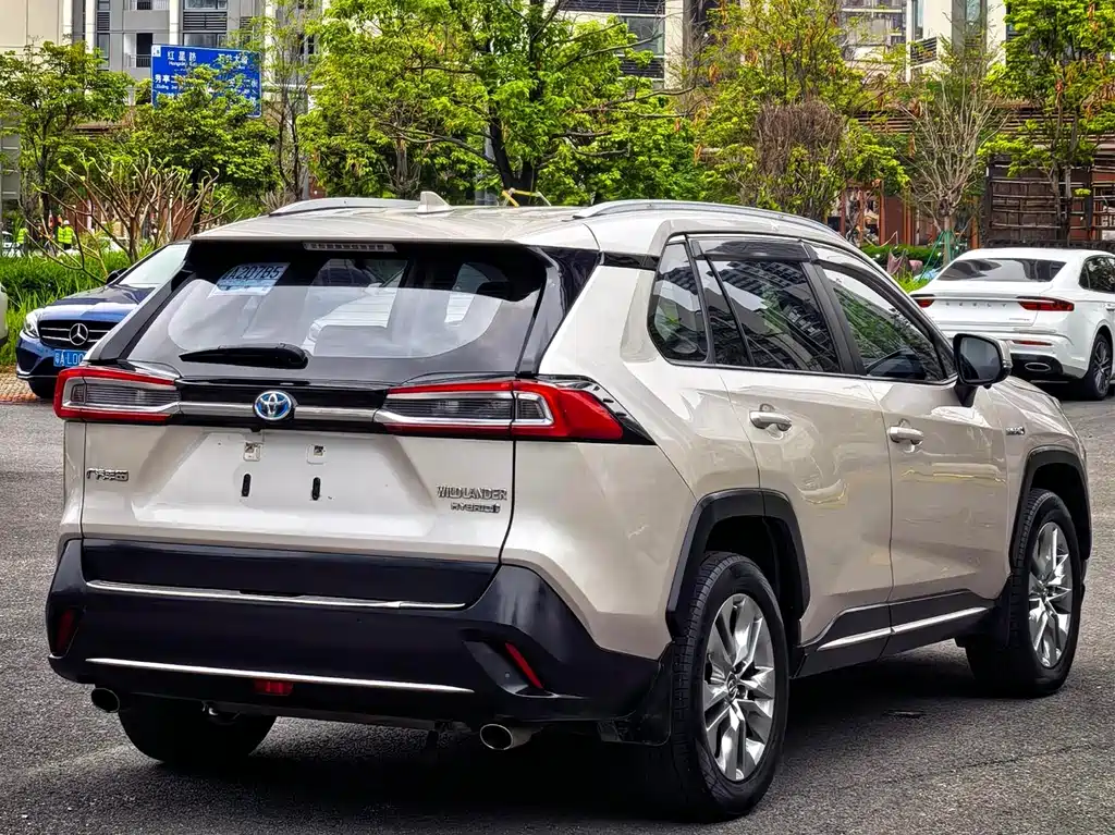 Toyota Wildlander 2020 2.5L E-CVT Luxury
