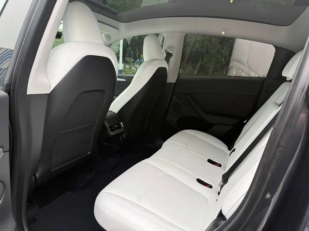 Tesla Model Y — миниатюра 6