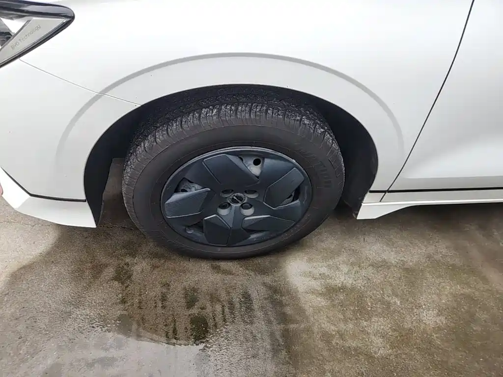 BYD e2 — миниатюра 23
