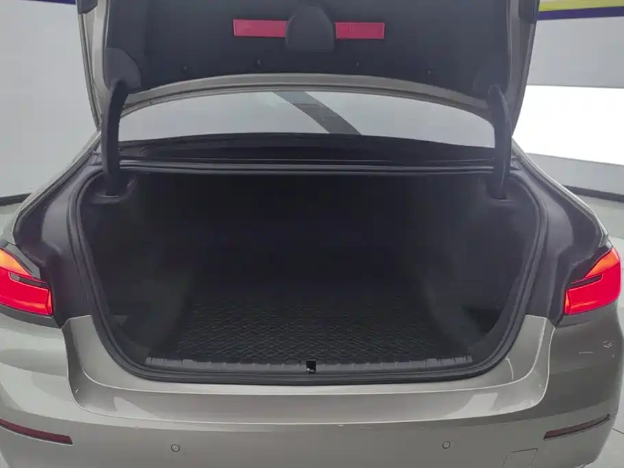 BMW 5 Series 5 2023 530Li Lead Luxury