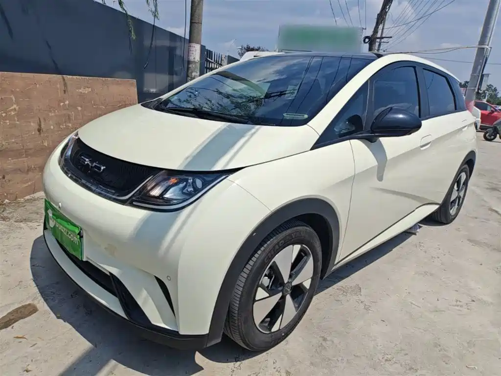 Byd Dolphin 2023