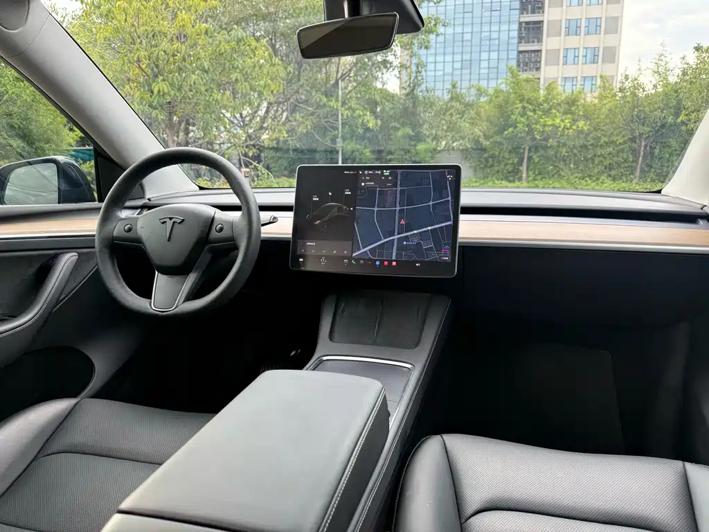 Tesla Model Y — миниатюра 6