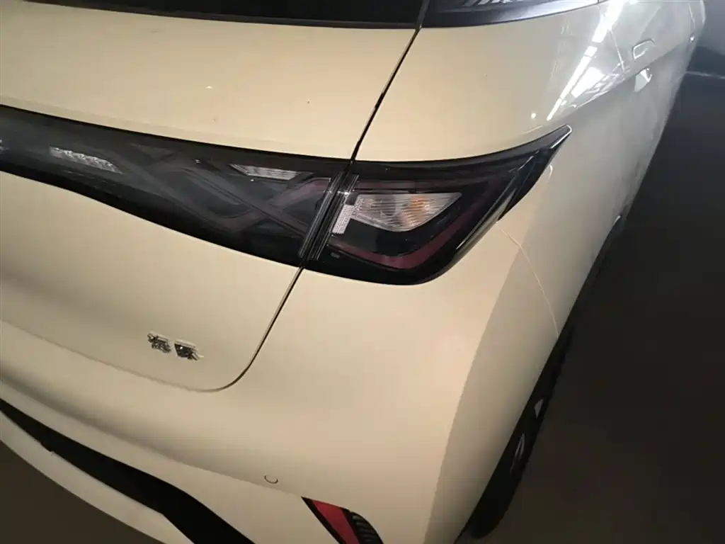 BYD Dolphin 2025 420km Freedom