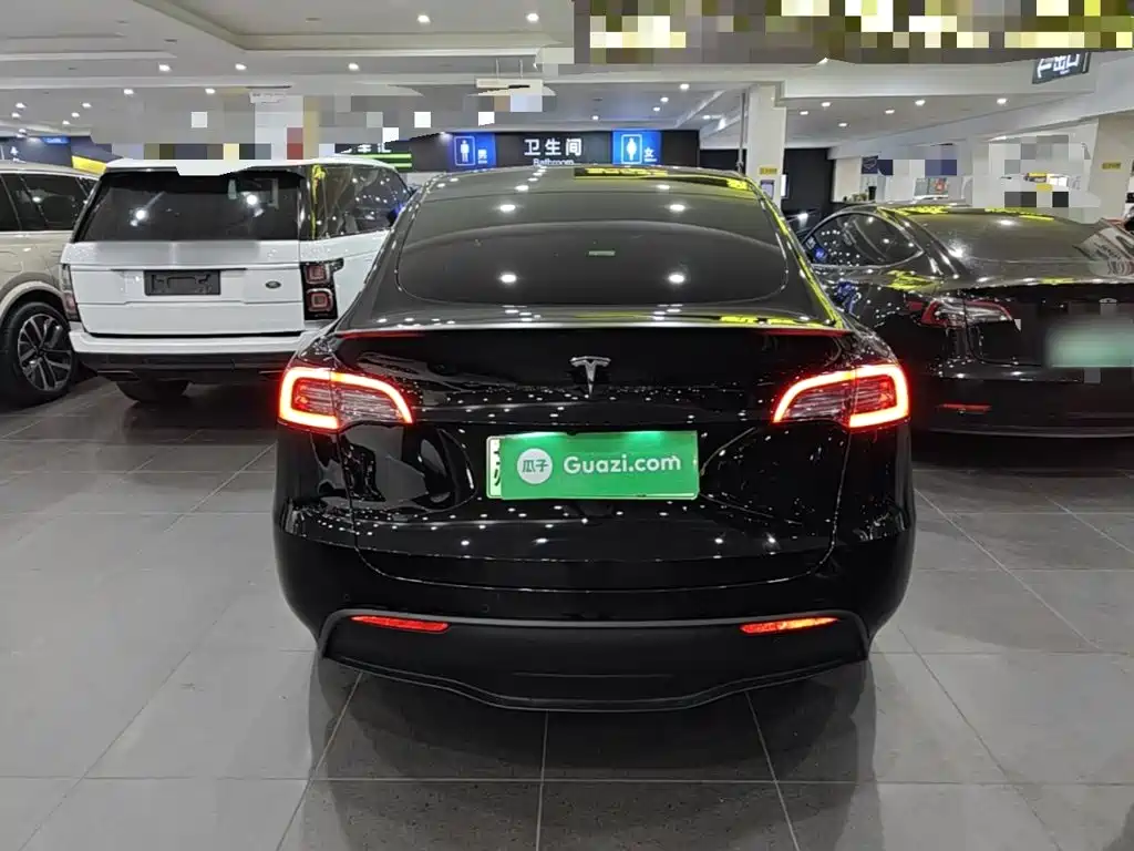 Tesla Model Y — миниатюра 6