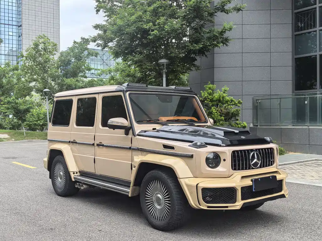 Mercedes-Benz G-Class G 2010 G 500
