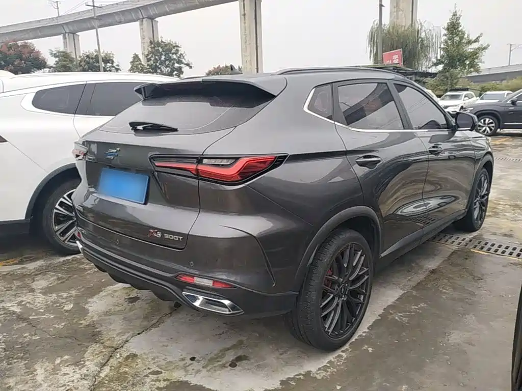 Oshan Oushang X5 — миниатюра 7