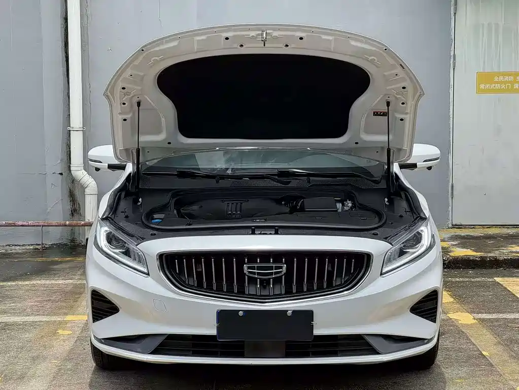Geely Borui — миниатюра 11