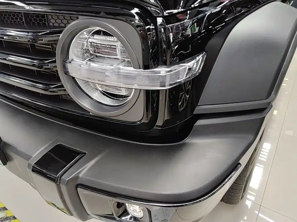 Tank Tank 300 New Energy — миниатюра 24