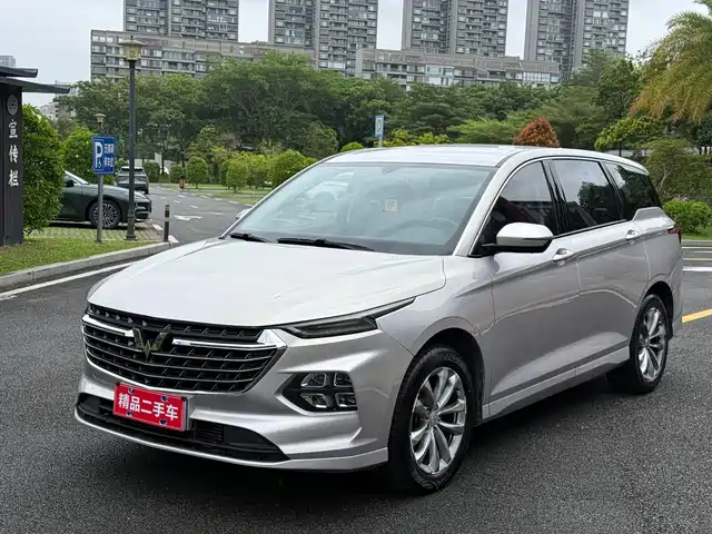 2020 Wuling Motors Victory
