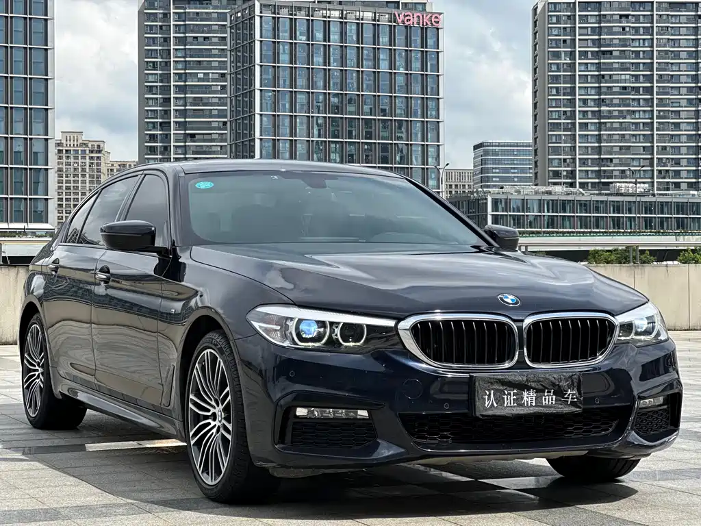 BMW 5 Series — миниатюра 3