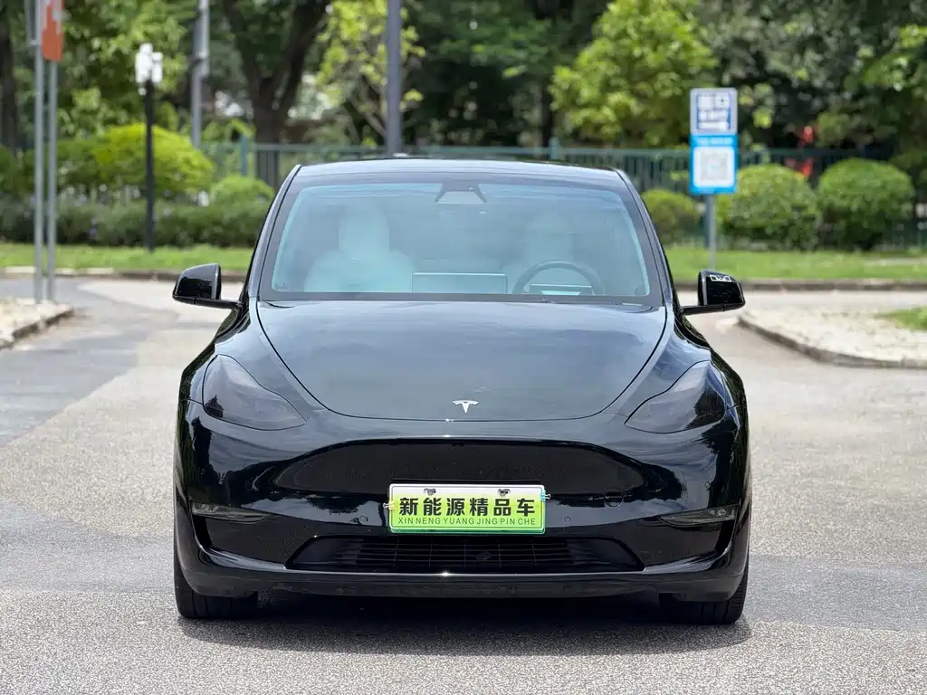 Tesla Model Y — миниатюра 3