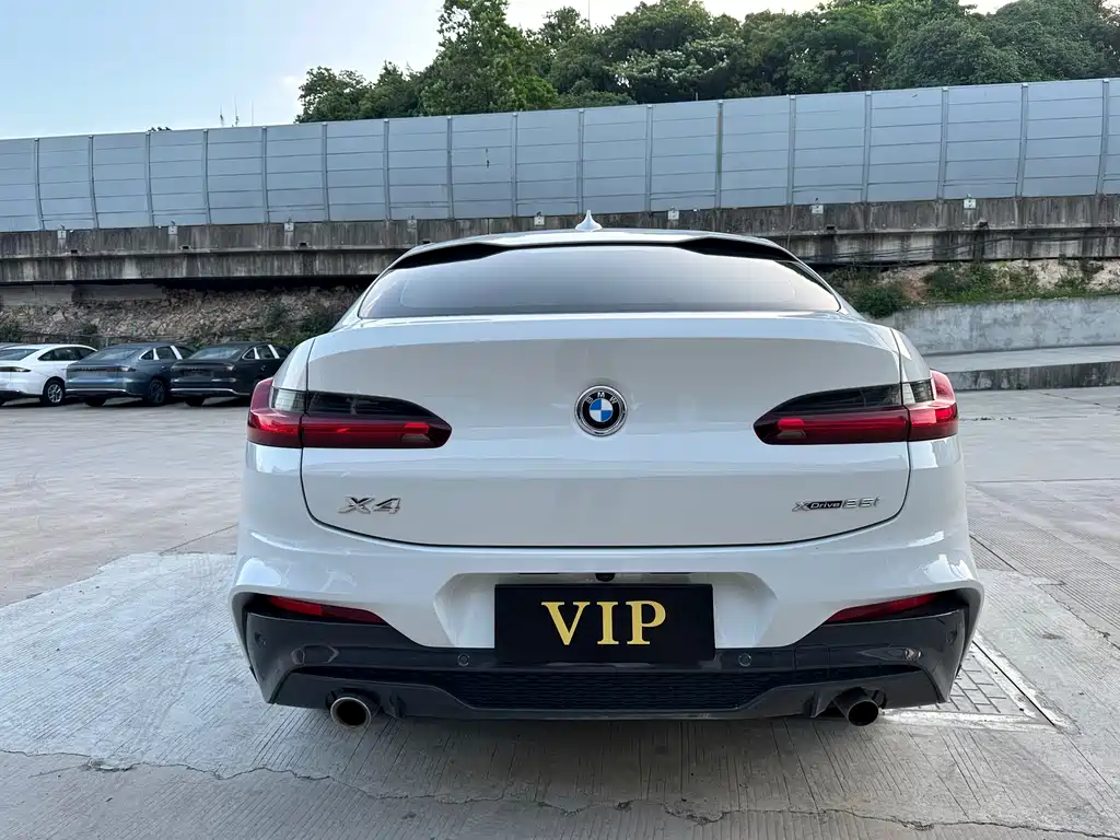 BMW X4 2021 xDrive 25i M Sport