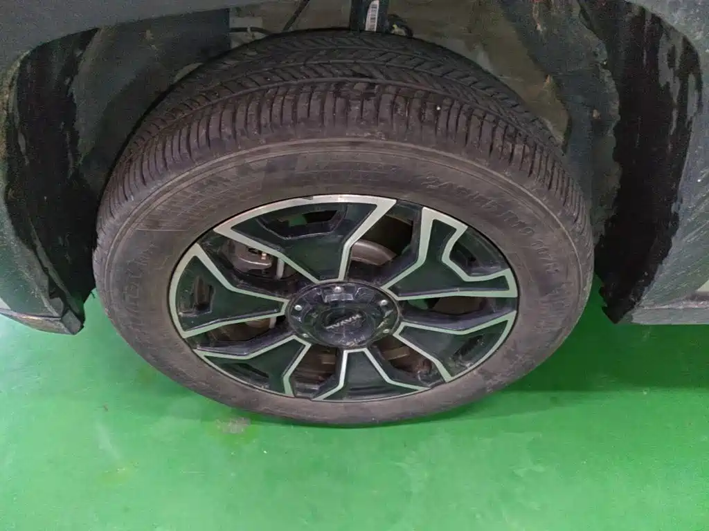 Haval Big Dog PLUS New Energy — миниатюра 23