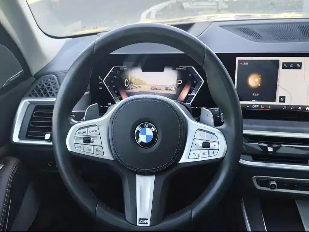 BMW X5 — миниатюра 9
