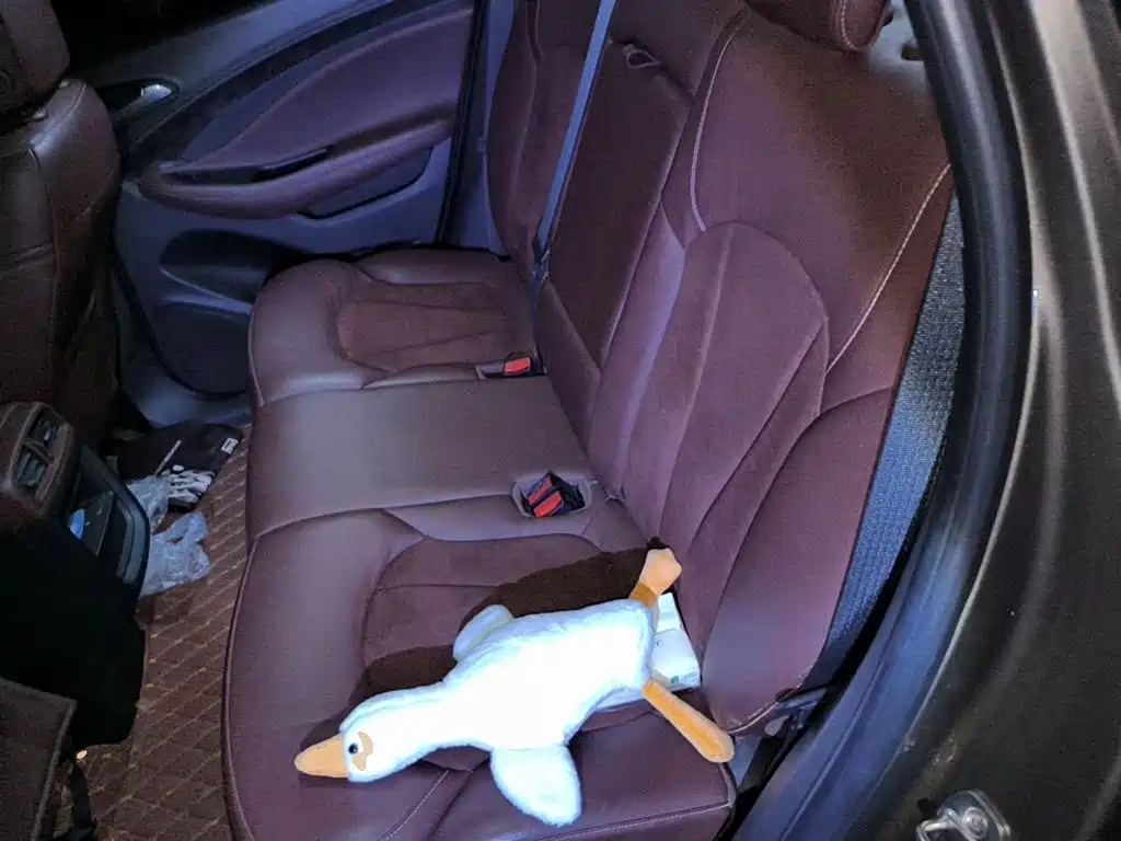 Buick Envision Plus — миниатюра 18