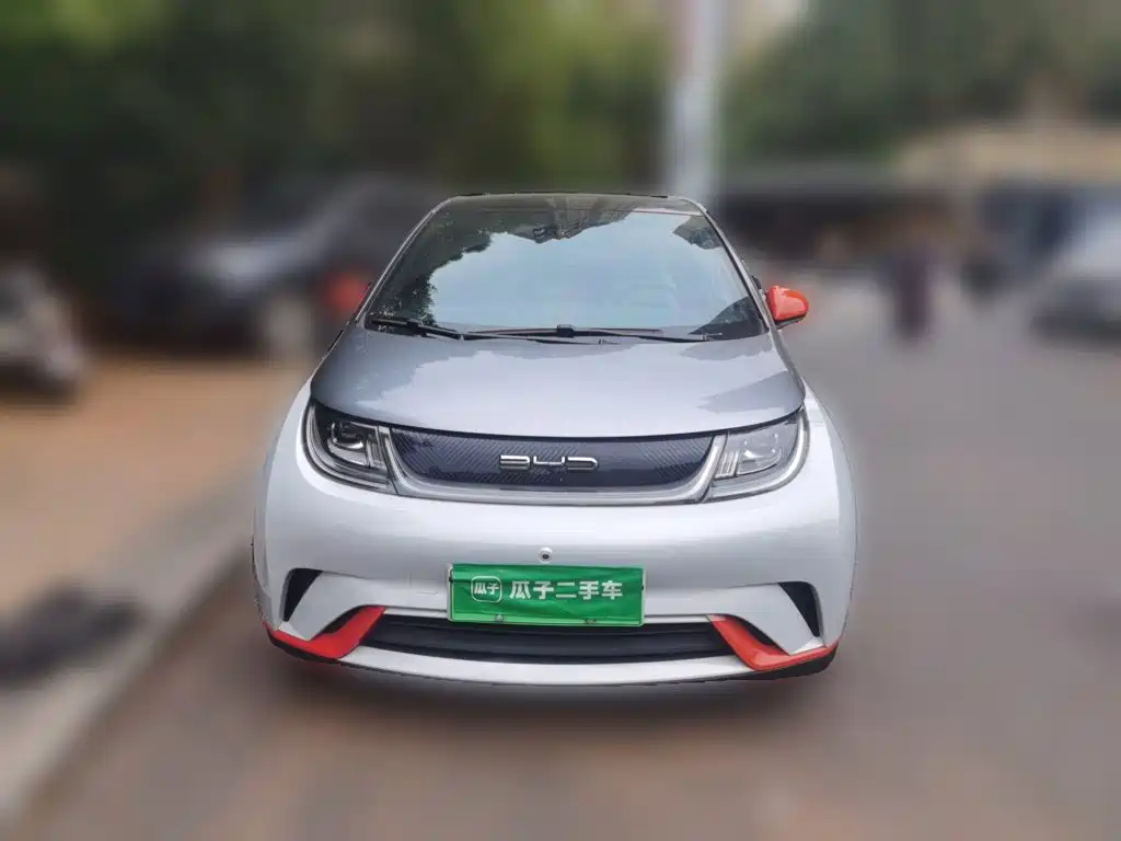 BYD Dolphin - фото 2