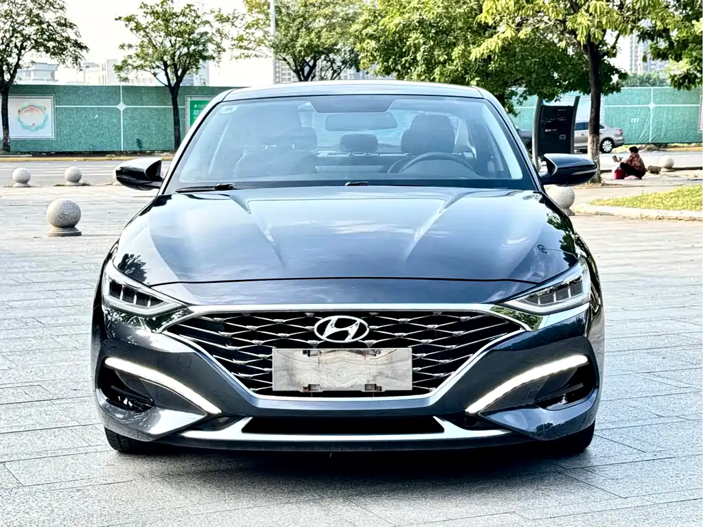 Hyundai Fista — миниатюра 2