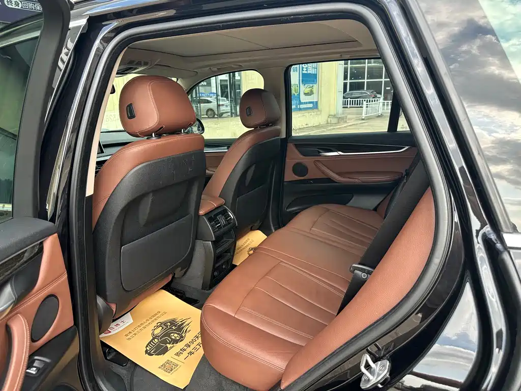 BMW X5 New Energy (Import) — миниатюра 13