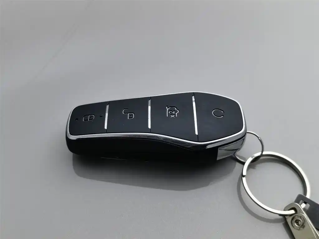 BYD SONGJIANG NEW ENERGY