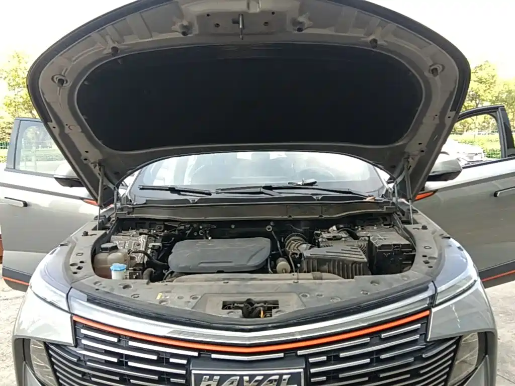 Haval Shenshou — миниатюра 20