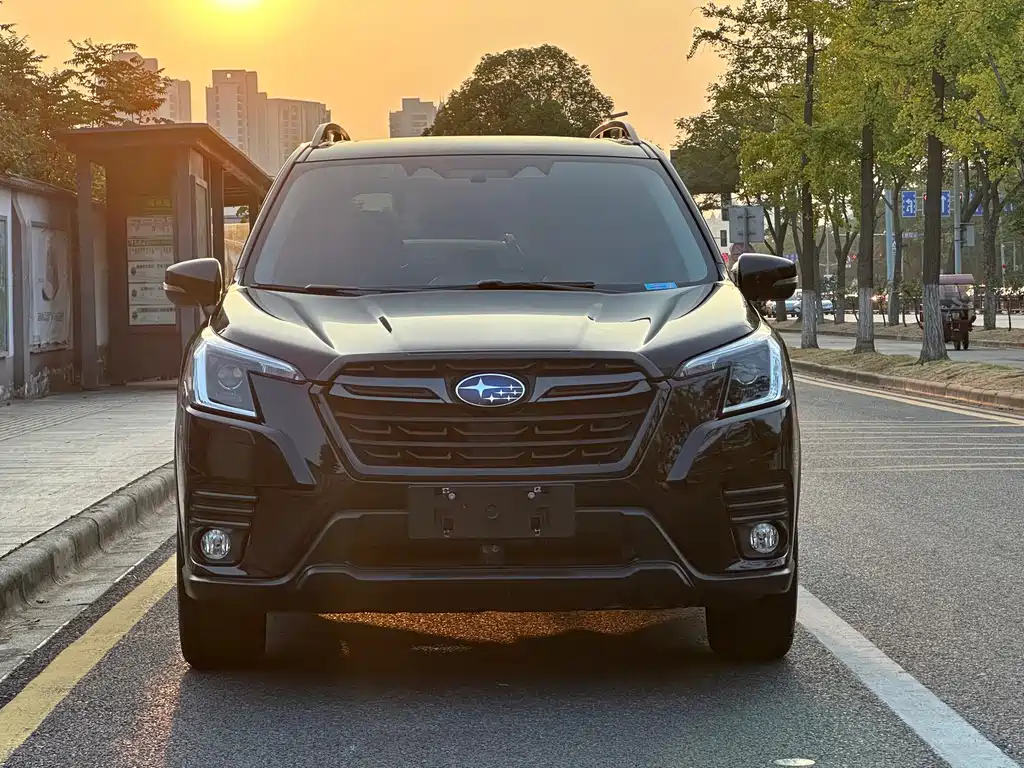 Subaru Forester — миниатюра 2