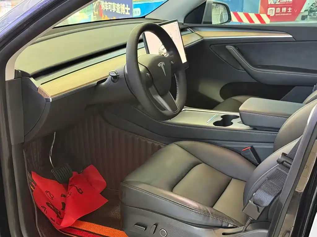 Tesla Model Y — миниатюра 8