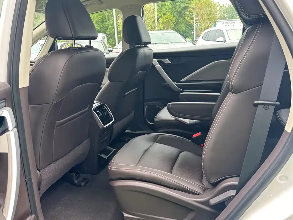 RUILAN AUTOMOBILE MAPLE LEAF 80V