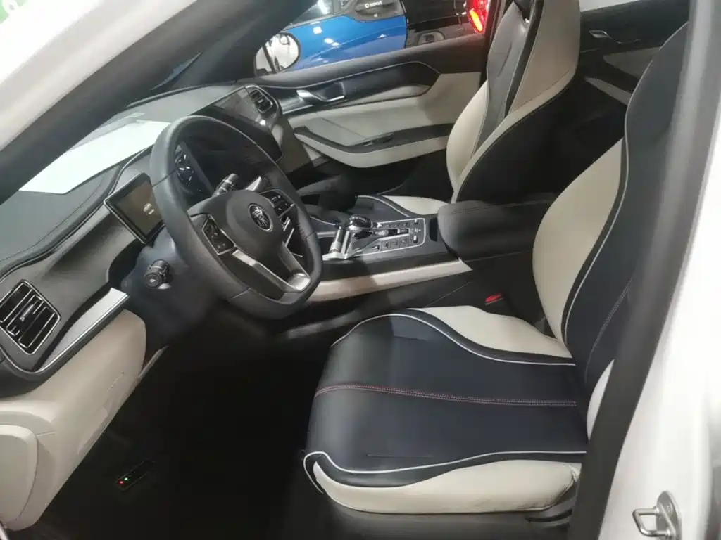 BYD Qin PLUS — миниатюра 15