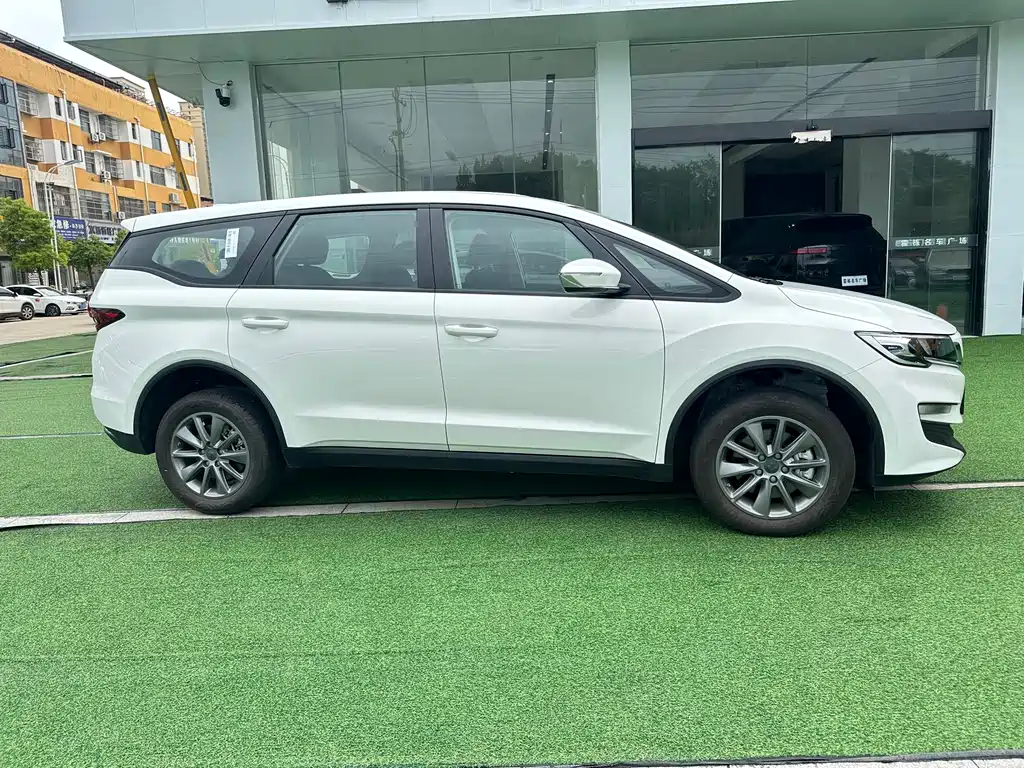 RUILAN AUTOMOBILE MAPLE LEAF 80V