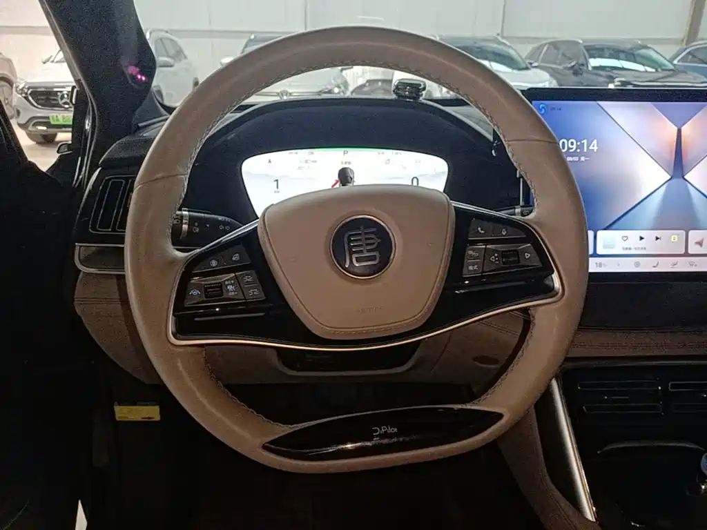 BYD Tang New Energy — миниатюра 11