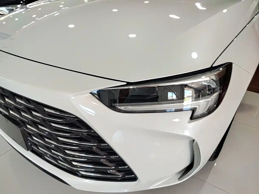 Buick Regal — миниатюра 24