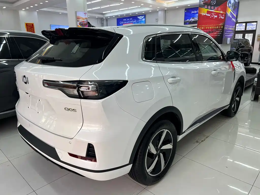 Qiyuan Qiyuan Q05 Classic — миниатюра 9