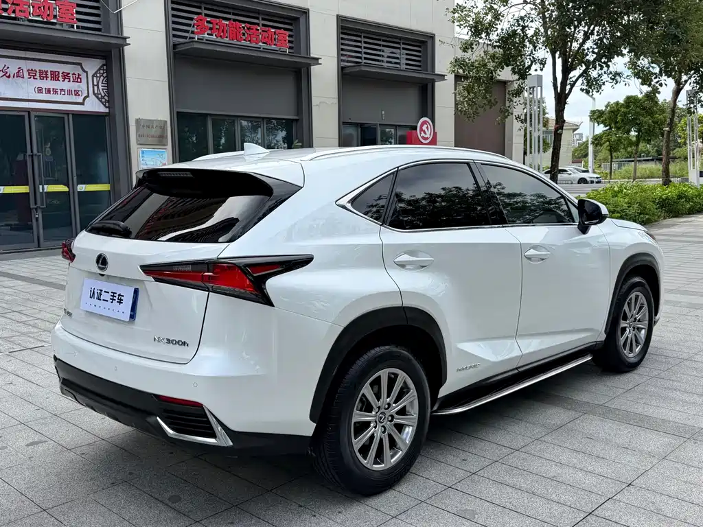 Lexus NX — миниатюра 14