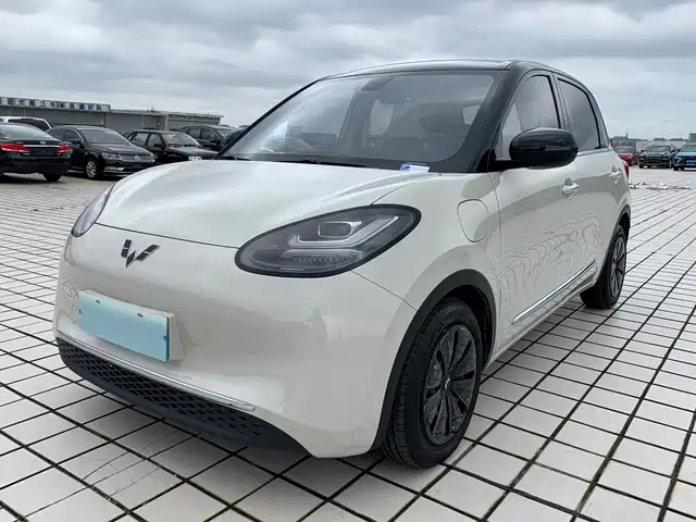 Wuling Bingo