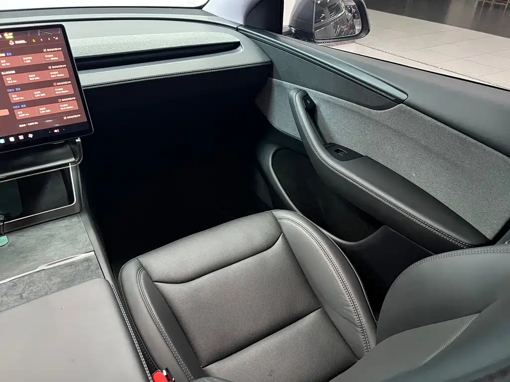 Tesla Model Y — миниатюра 12
