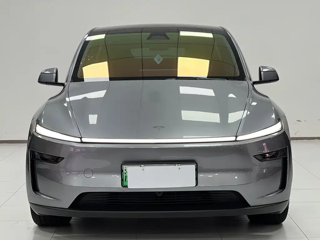 Tesla Model Y — миниатюра 2