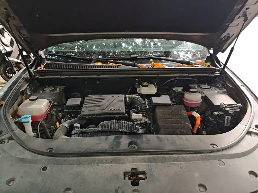 BYD Pro New Energy — миниатюра 11