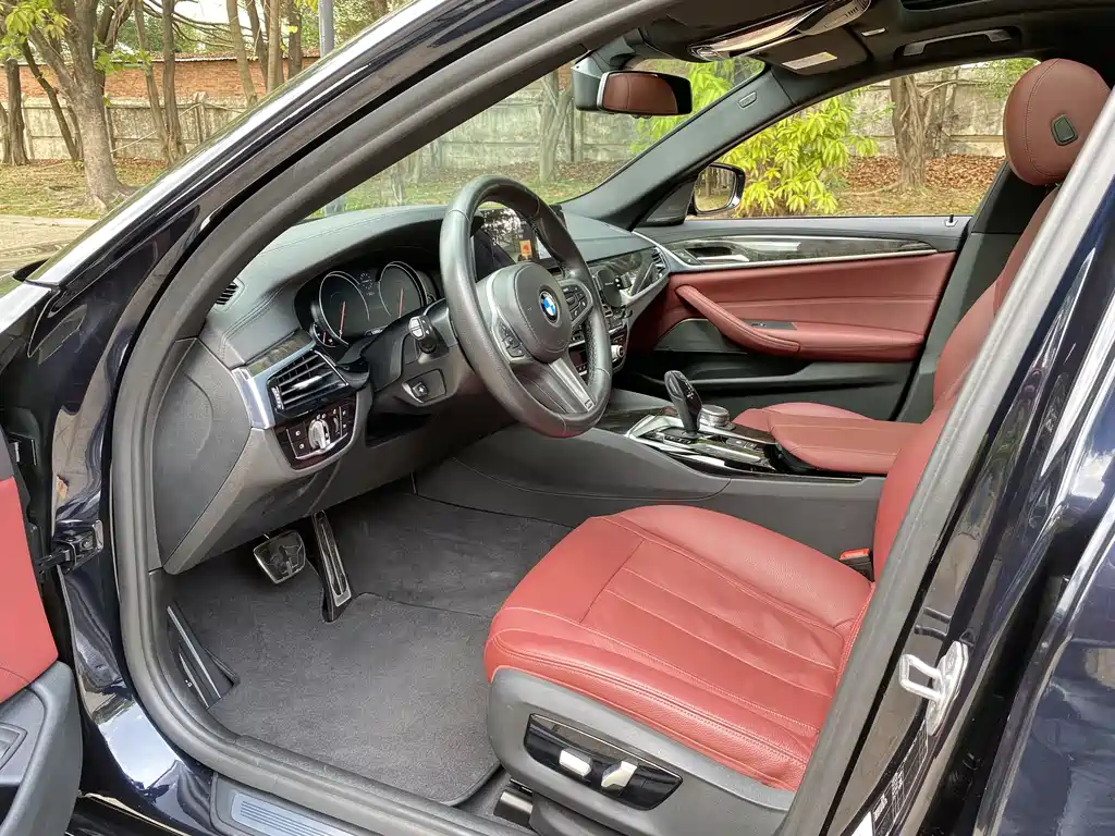 BMW 5 Series 5 2018 530Li Premium M Sport