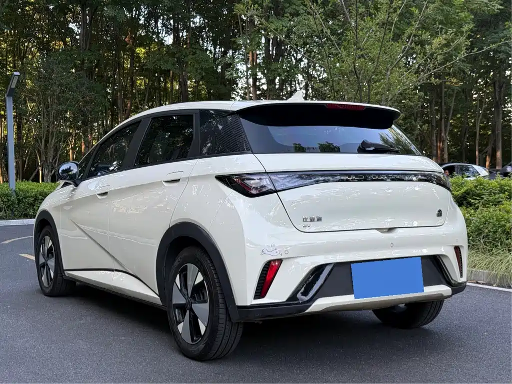 BYD Dolphin — миниатюра 6