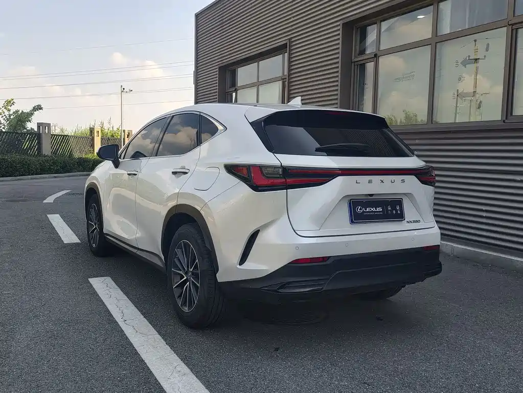 Lexus NX — миниатюра 9