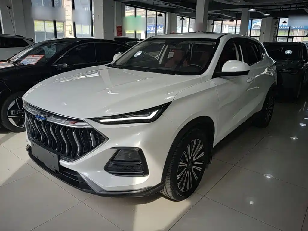 Oshan Oushang X5 — миниатюра 2
