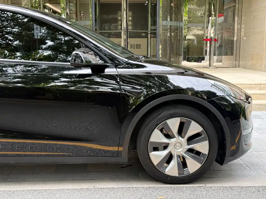 Tesla Model Y — миниатюра 14
